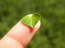 love_comes_in_starnge_forms_by_lildevil931-d491c7t