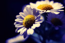 One_love__one_love__one_love__by_sunshine911