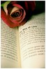 The_Way_of_Love_by_christians