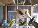 20110125_161413
