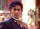 amorwall28002zy