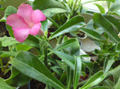 DSC05559