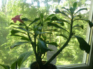 DSC05560