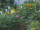 P1020244