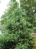 P1060900