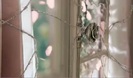 Avril Lavigne - Wild Rose 0151