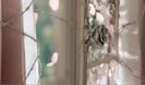 Avril Lavigne - Wild Rose 0153