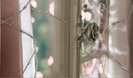 Avril Lavigne - Wild Rose 0157