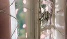 Avril Lavigne - Wild Rose 0161