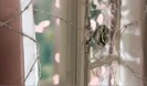 Avril Lavigne - Wild Rose 0162