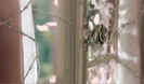 Avril Lavigne - Wild Rose 0163