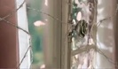 Avril Lavigne - Wild Rose 0164