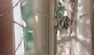 Avril Lavigne - Wild Rose 0167