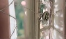 Avril Lavigne - Wild Rose 0169