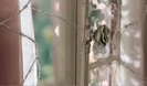 Avril Lavigne - Wild Rose 0170