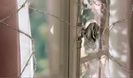 Avril Lavigne - Wild Rose 0172