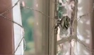Avril Lavigne - Wild Rose 0173
