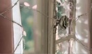 Avril Lavigne - Wild Rose 0174