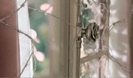 Avril Lavigne - Wild Rose 0175