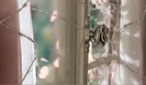 Avril Lavigne - Wild Rose 0177