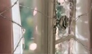 Avril Lavigne - Wild Rose 0179