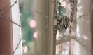 Avril Lavigne - Wild Rose 0185