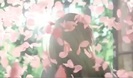 Avril Lavigne - Wild Rose 0229