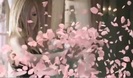 Avril Lavigne - Wild Rose 0272