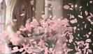 Avril Lavigne - Wild Rose 0273