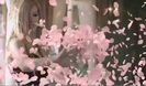 Avril Lavigne - Wild Rose 0277