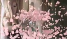 Avril Lavigne - Wild Rose 0283
