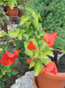 DSCN1349