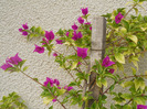 DSCN1364