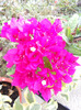 DSCN1370