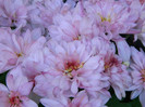 084