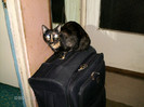august 095