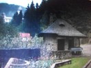 poze 1311