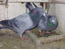 BILD0615