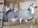 BILD0620