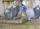 BILD0622