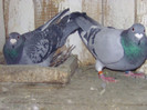 BILD0623