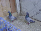 BILD0626
