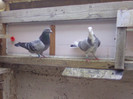 BILD0630