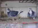 BILD0631