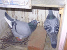 BILD0634