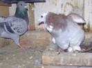 BILD0635