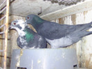 BILD0640