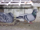 BILD0643