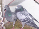 BILD0644