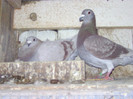 BILD0646